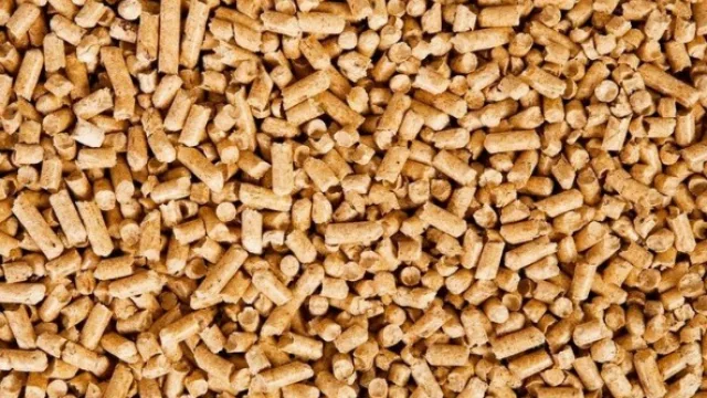 Azúcar es energía y el INTI hace realidad el sueño