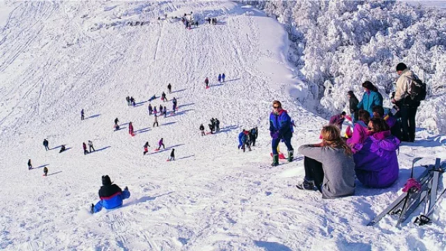 Controles de turismo estudiantil en temporada alta