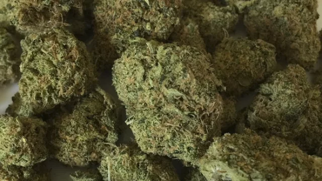 Marihuana y nuevos dealers: $ 2,2 M para repartir por mes entre 16 farmacias