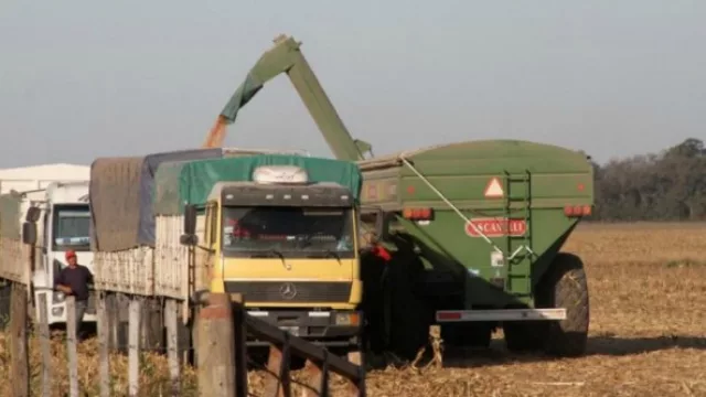 Transportar granos desde Tucumán a Rosario es más caro que de Rosario a China