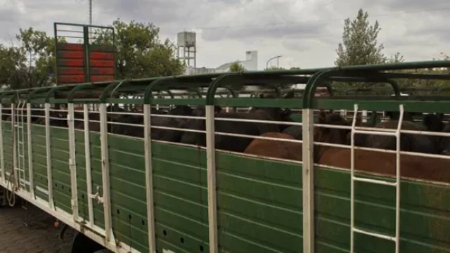 Se podrá obtener el Documento de Tránsito a toda hora (sin presentar papeles, por Internet)