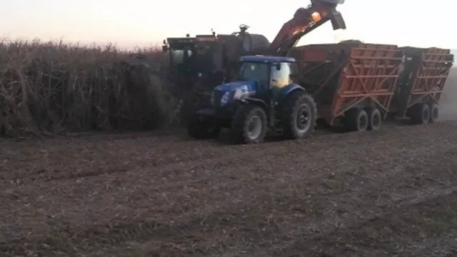 Zafra 2017: según UCIT, Tucumán ya lleva producidas unas 300.000 toneladas de azúcar