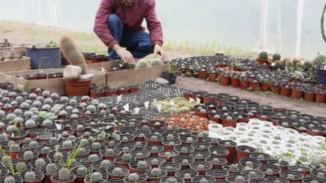 Se entregará el premio al emprendedor agropecuario argentino