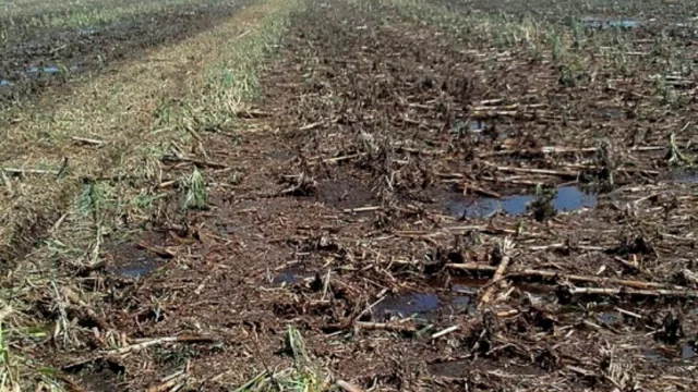 Crean el Observatorio Nacional de los Suelos Agropecuarios para mayor conservación y productividad