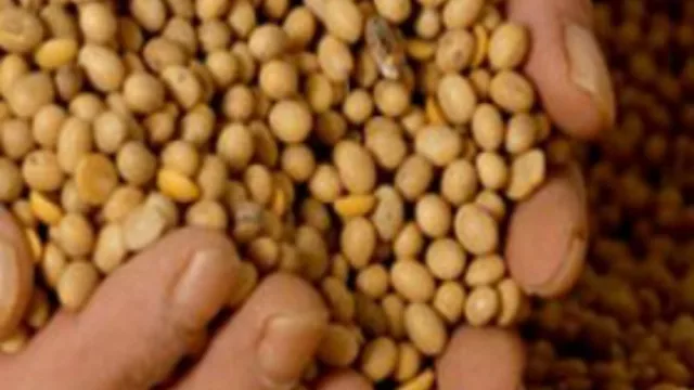 El norte de parabienes: el precio de la soja del Plan Belgrano para el mes de junio es de $5.674,82 por tonelada