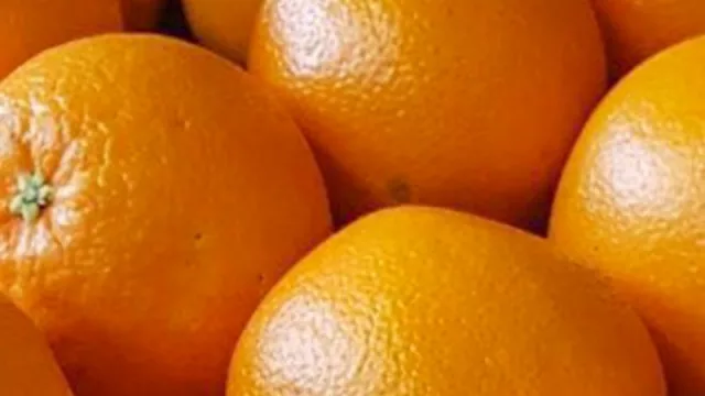 Desde Tucumán y la mesopotamia ingresan naranjas argentinas a Brasil