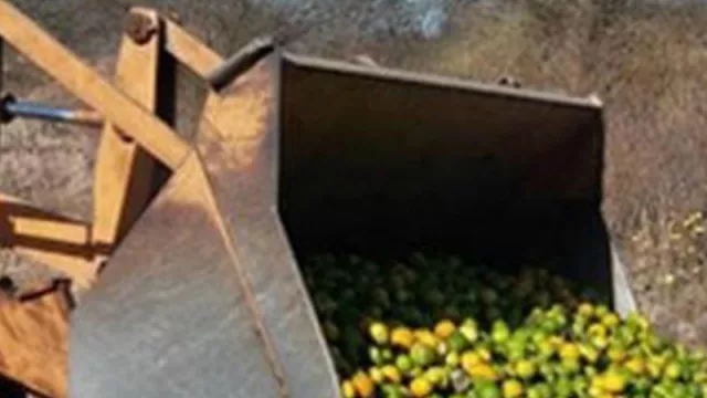 Tucumán lanzó las barreras fitosanitarias móviles para prevenir el HLB