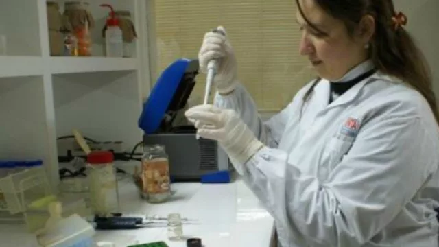 Describen el genoma de una bacteria que afecta a la caña de azúcar