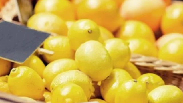 La apertura del mercado brasilero a los limones argentinos “es un gran avance para los productores de la región"