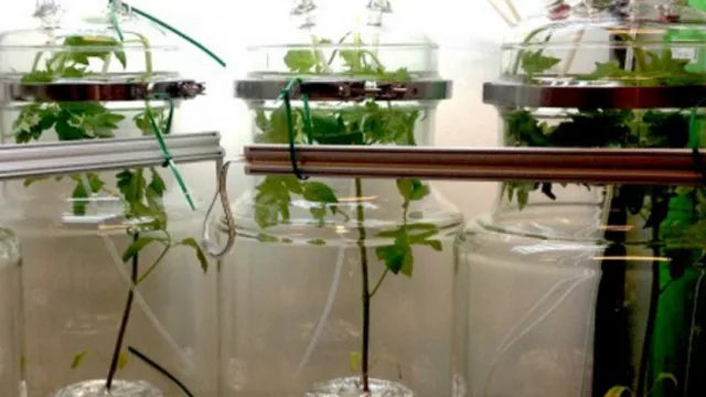 En pocos días reglamentarán la Ley de Biotecnología con un modelo “beneficioso para la industria”