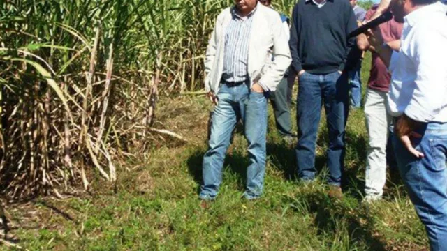 Al auxilio de las cooperativas cañeras: entregan microcréditos