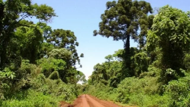 Una empresa tucumana presentó el programa productivo protegido para bosques nativos