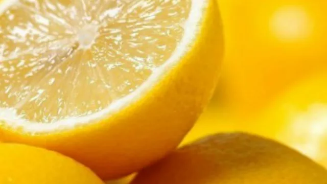 Este mes se hará la apertura simbólica del ingreso del limón tucumano a EE.UU.