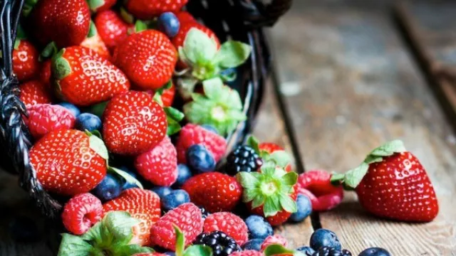 Los dólares chilenos llegan a invertir en berries de Tucumán