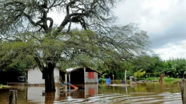 La Nación declaró la emergencia agropecuaria para cuatro departamentos de Tucumán
