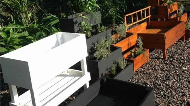 Green Life: empresa de protección vegetal y sustentable economía para la casa