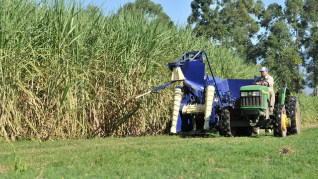 Una nueva app para aumentar la rentabilidad agrícola