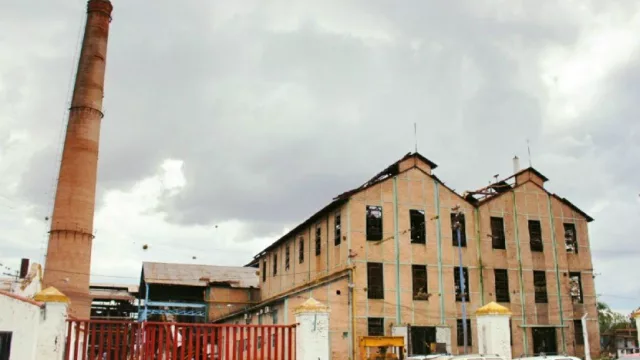 Instaron a usar la tecnología para producir más azúcar