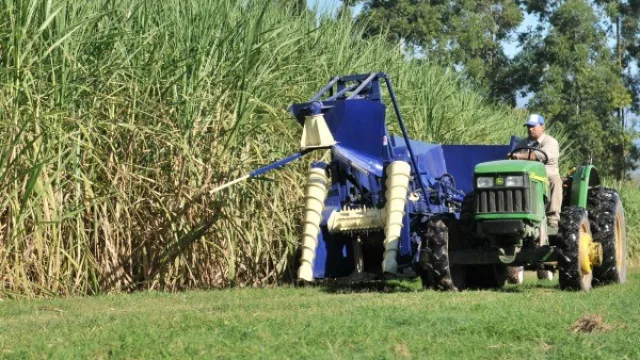 Mejor precio del azúcar tras el inicio de la zafra
