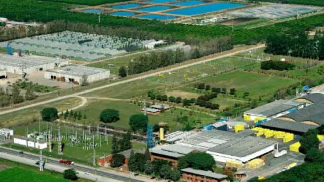 Una buena para sojeros y empresarios tucumanos: Nación eliminó retenciones al biodiesel