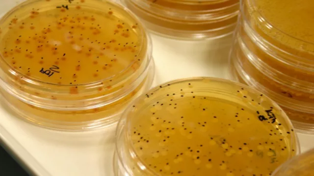 Un emprendimiento químico tecnológico que podría cambiar la agricultura