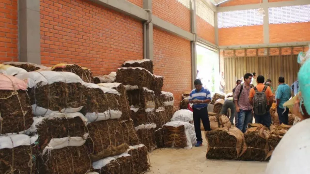 Tabacaleros y el Gobierno piden al Inaes que convoque a asamblea (aún no obtienen respuesta)