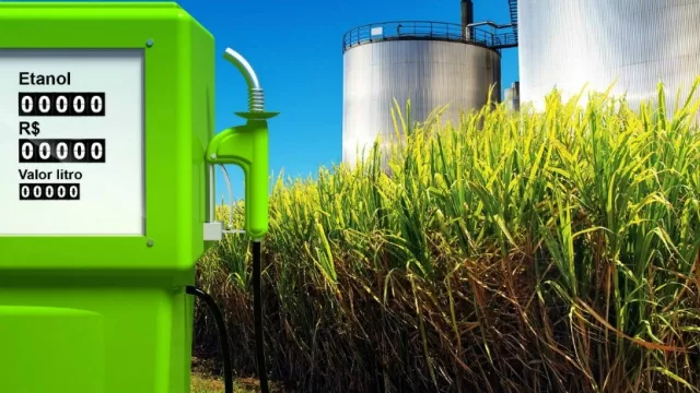 El etanol debe generar ingresos para toda la cadena de producción