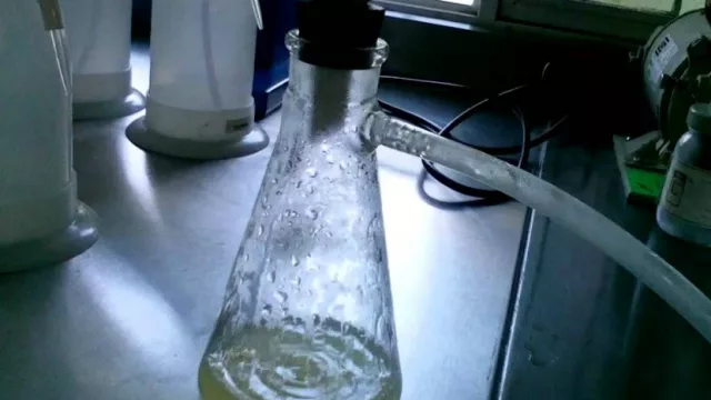 Impulsarán la instalación y radicación de una fábrica de pectina 