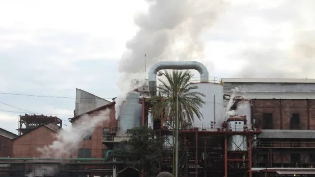 Buenas noticias: Los Balcanes inició la zafra 2017