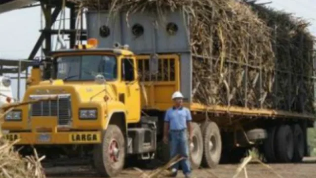 Se inicia la zafra en Tucumán y se reactiva la economía del interior provincial