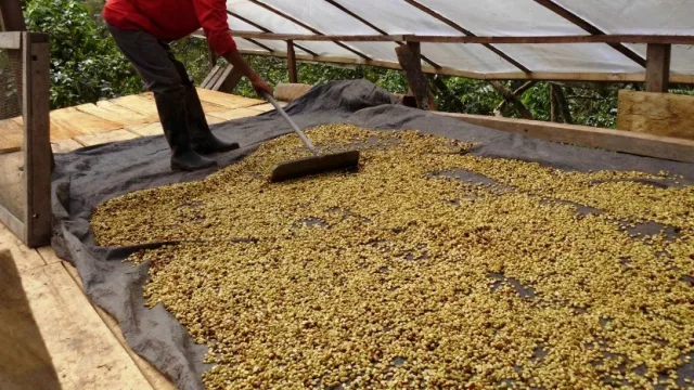 Entregan créditos de hasta $ 100 mil para mejorar la calidad productiva