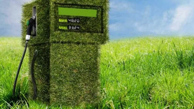 Estados Unidos podría cambiar el destino de la producción tucumana