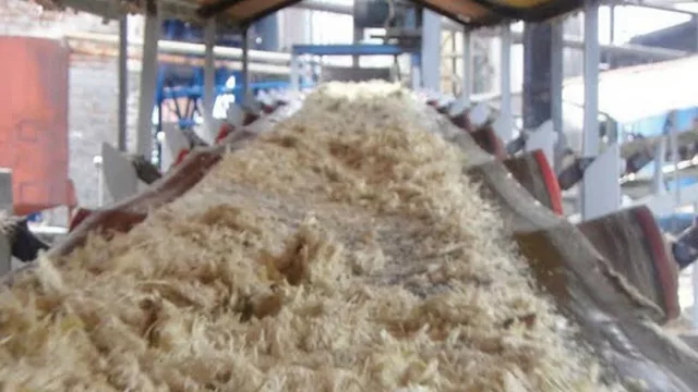 Bagazo, el negocio del futuro para la provincia (inversión de U$S 80 M)