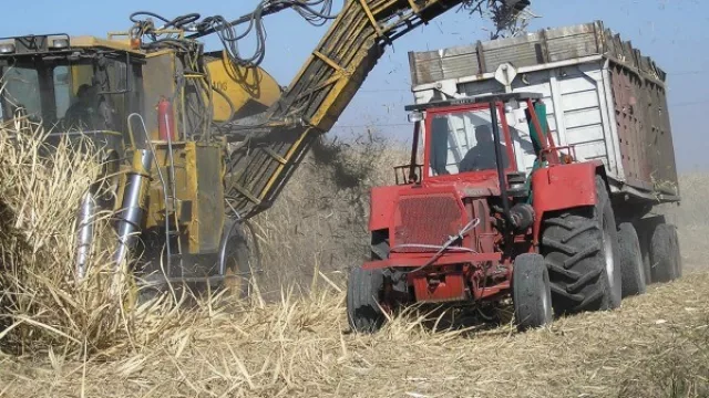 Azucareros aseguran el abastecimiento interno de azúcar para este año