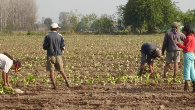 La provincia en alza y no para bien: el empleo en negro incrementó un 3,3%