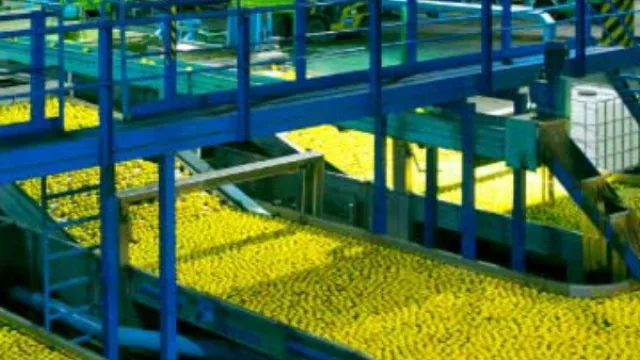 De Tucumán a México: el limón tucumano encontró nuevo aliado