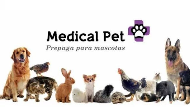 Medical Pet: las mascotas ocuparon la cama, el sillón y ahora… ¡tienen prepaga!