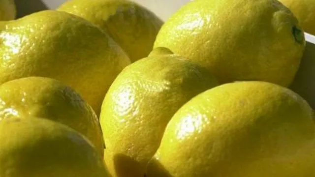 La facturación anual de producción de limón tucumano es de U$S 800 millones