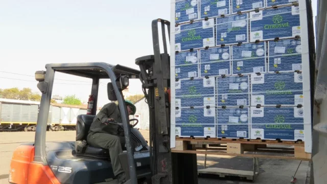 Exportaciones tucumanas: durante 2016 fueron equivalentes a un total de U$S FOB 985 millones