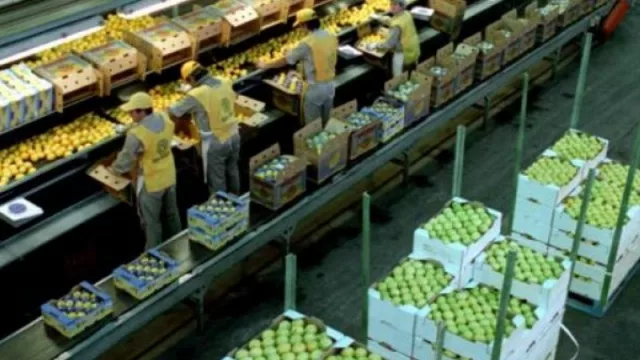 Empresarios privados apuestan al crecimiento: el empleo incrementó 1.6% en la provincia