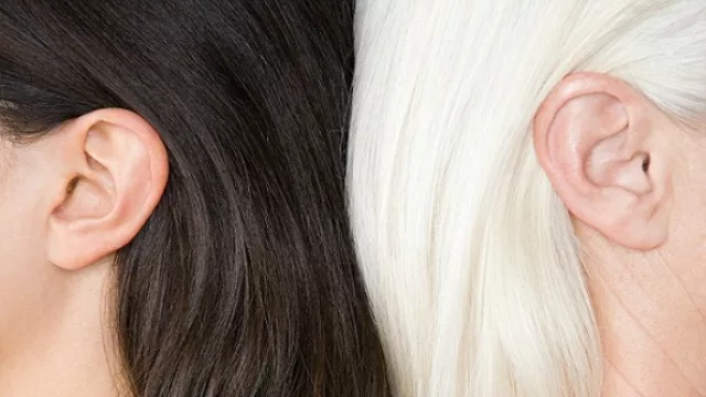 Las nieves del tiempo, ¿platearon tu sien?