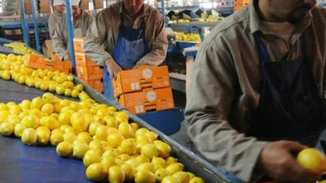 Citrícola San Miguel invirtió U$S 4.5 millones para ahorrar 400 litros de agua