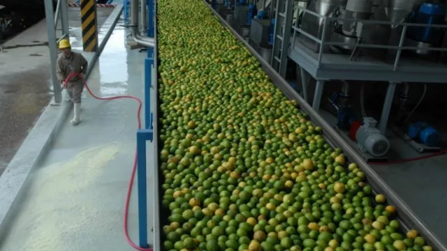 Coca Cola Argentina invertirá U$S 635.000 en el sector citrícola