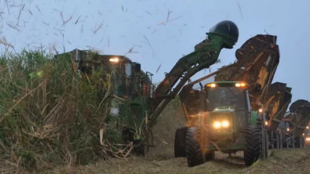 El Ingenio Ledesma planea inversiones por $350 millones, y cierra el año con una producción superior al 2015