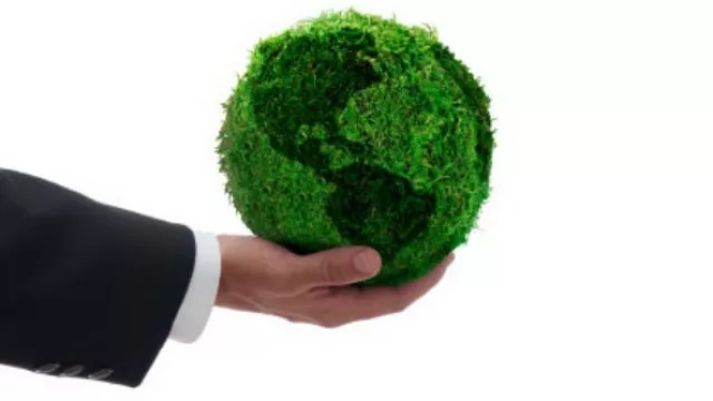 Resultado de encuesta anterior