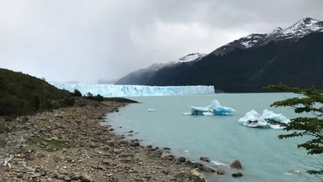 Resultado de encuesta anterior