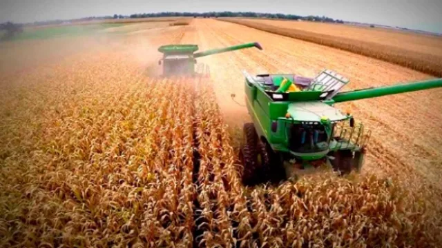 Caen un 11,8% las exportaciones en UY (la soja desilusionó y la carne bovina sorprendió)