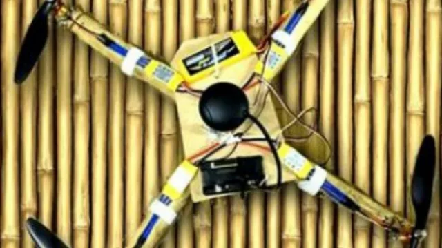 Made in Tucumán: llegó el primer drone fabricado con caña de bambú tucumana
