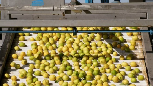 Tucumán es la provincia líder en el NOA en los ámbitos productivo y comercial (exporta 140 productos a 150 países)