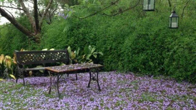 A tono con la primavera: se lleva a cabo la muestra anual del Garden Club